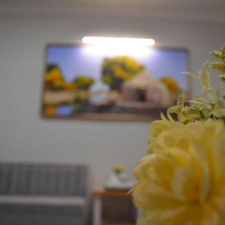 Hostel Danexan Apa Nukus Zewnętrze zdjęcie